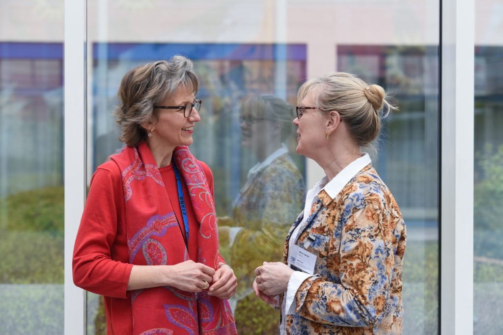 baretton-gerber-2-dqs